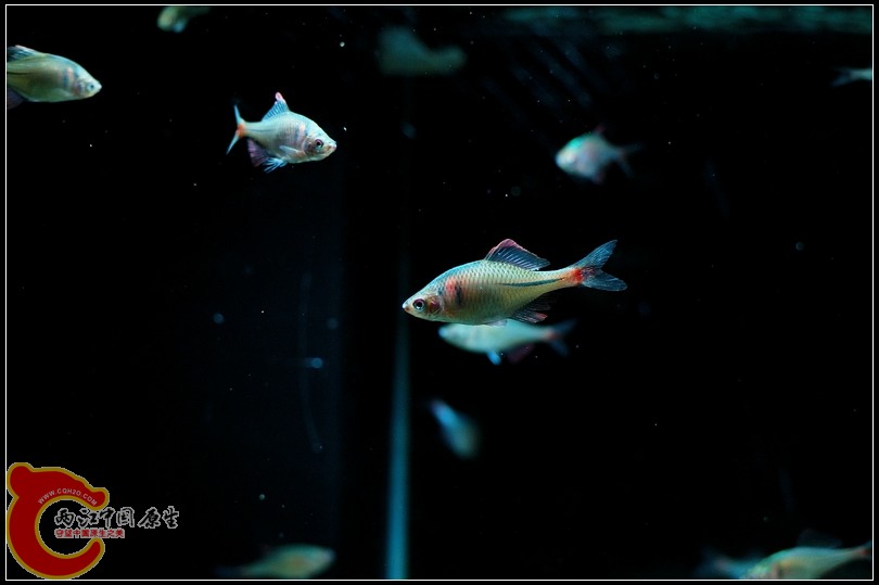 DSC_9105.jpg
