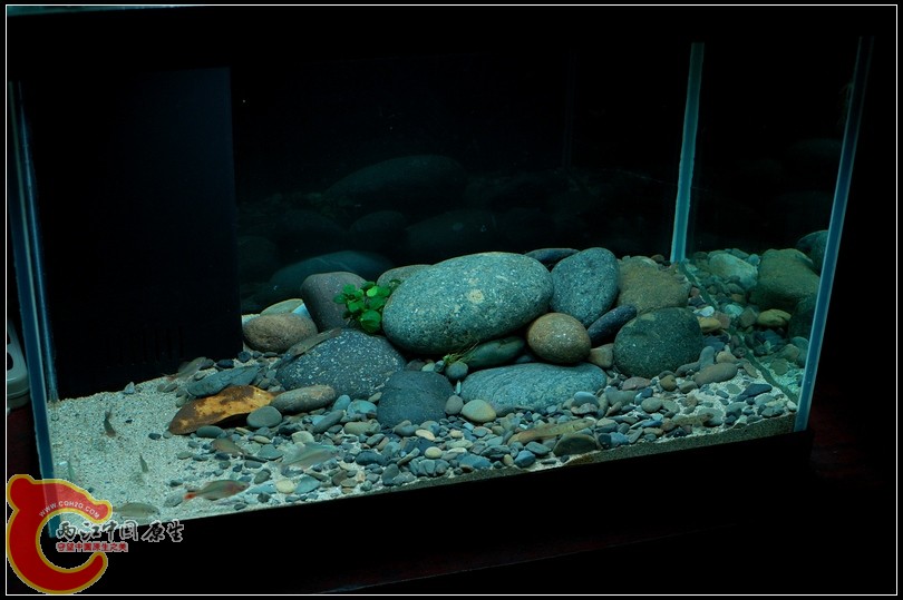 DSC_9113.jpg
