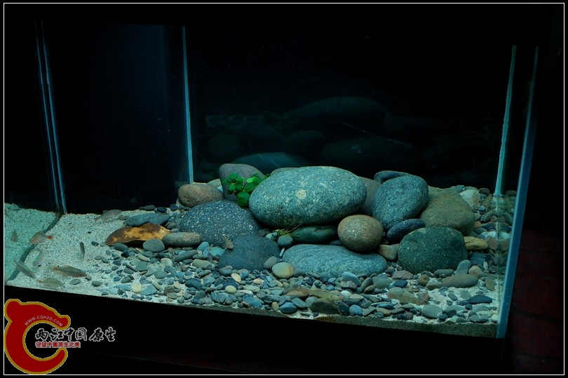 DSC_9114.jpg
