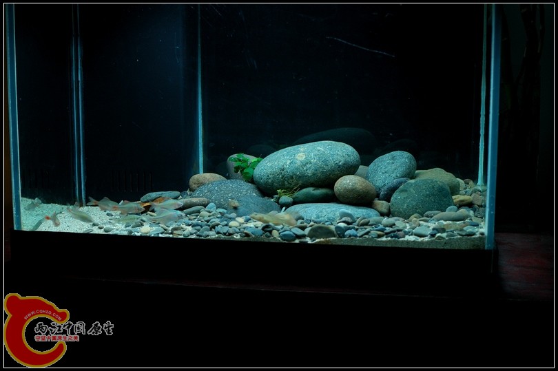 DSC_9115.jpg