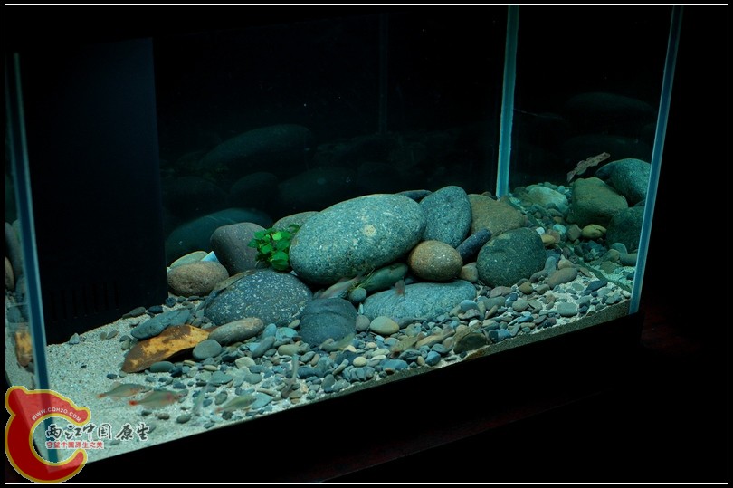 DSC_9112.jpg