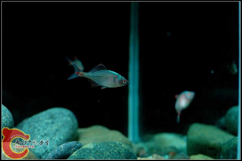 DSC_9143.jpg