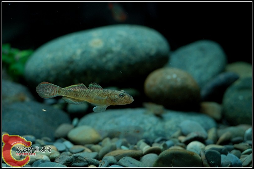 DSC_9135.jpg