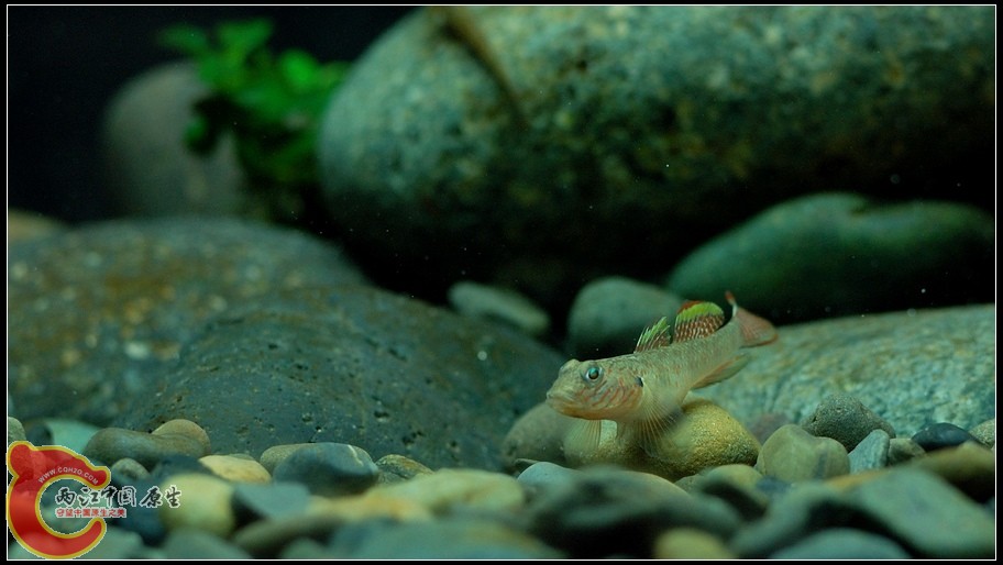 DSC_9402.jpg