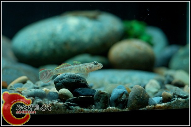 DSC_9755.jpg