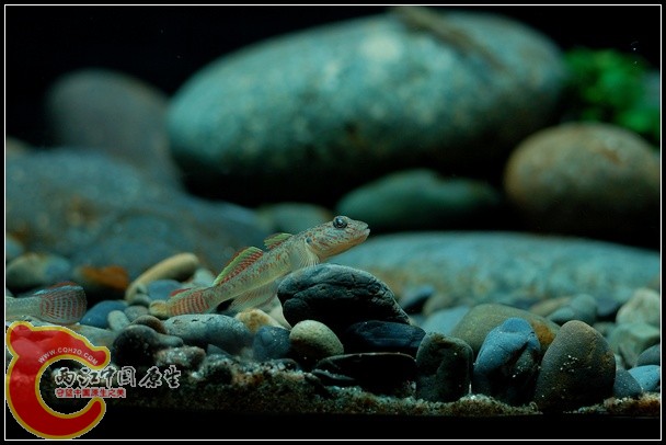 DSC_9761.jpg