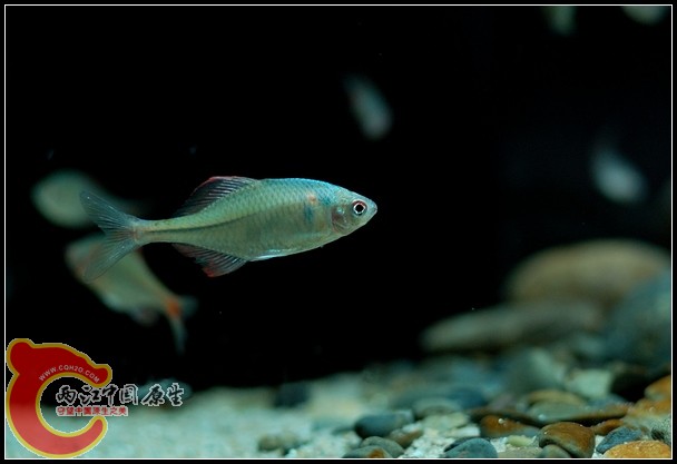 DSC_9779.jpg