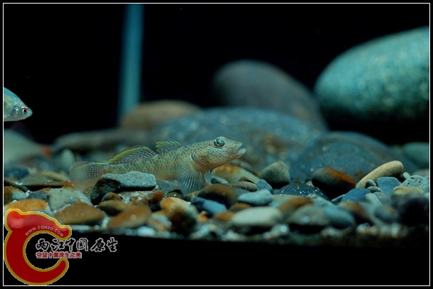 DSC_9765.jpg