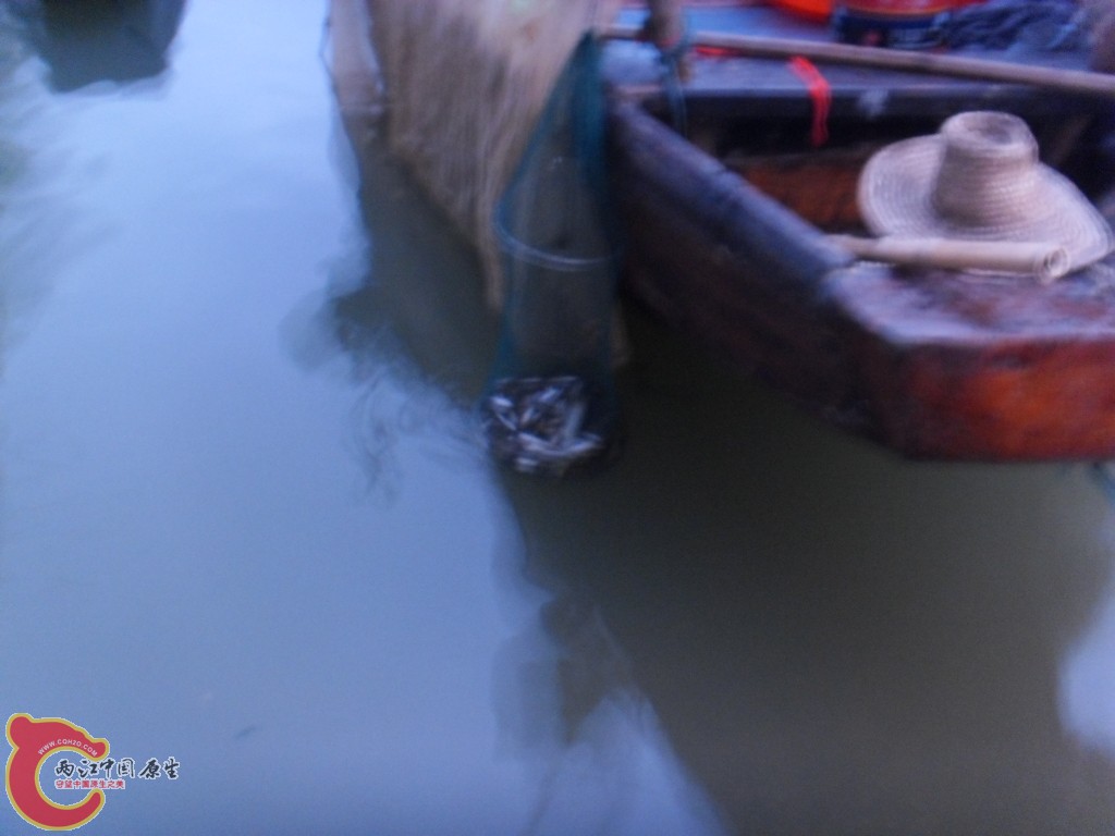 SDC12711.JPG