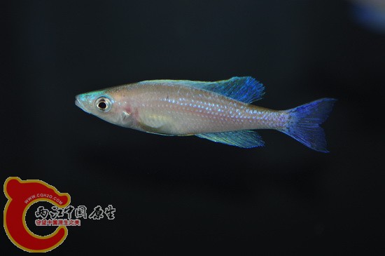 照片 145.jpg
