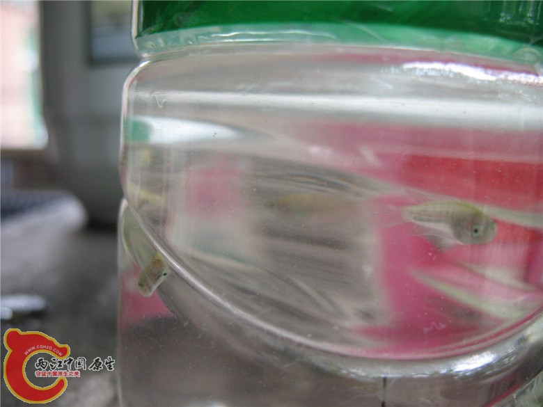 照片 005_副本.jpg