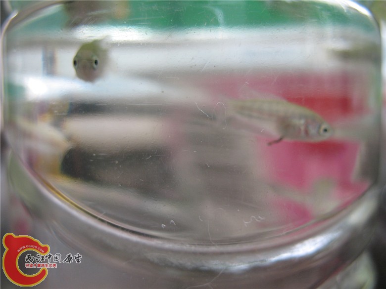 照片 010_副本.jpg