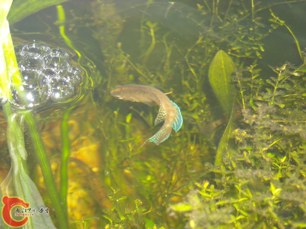 DSCN2267.JPG