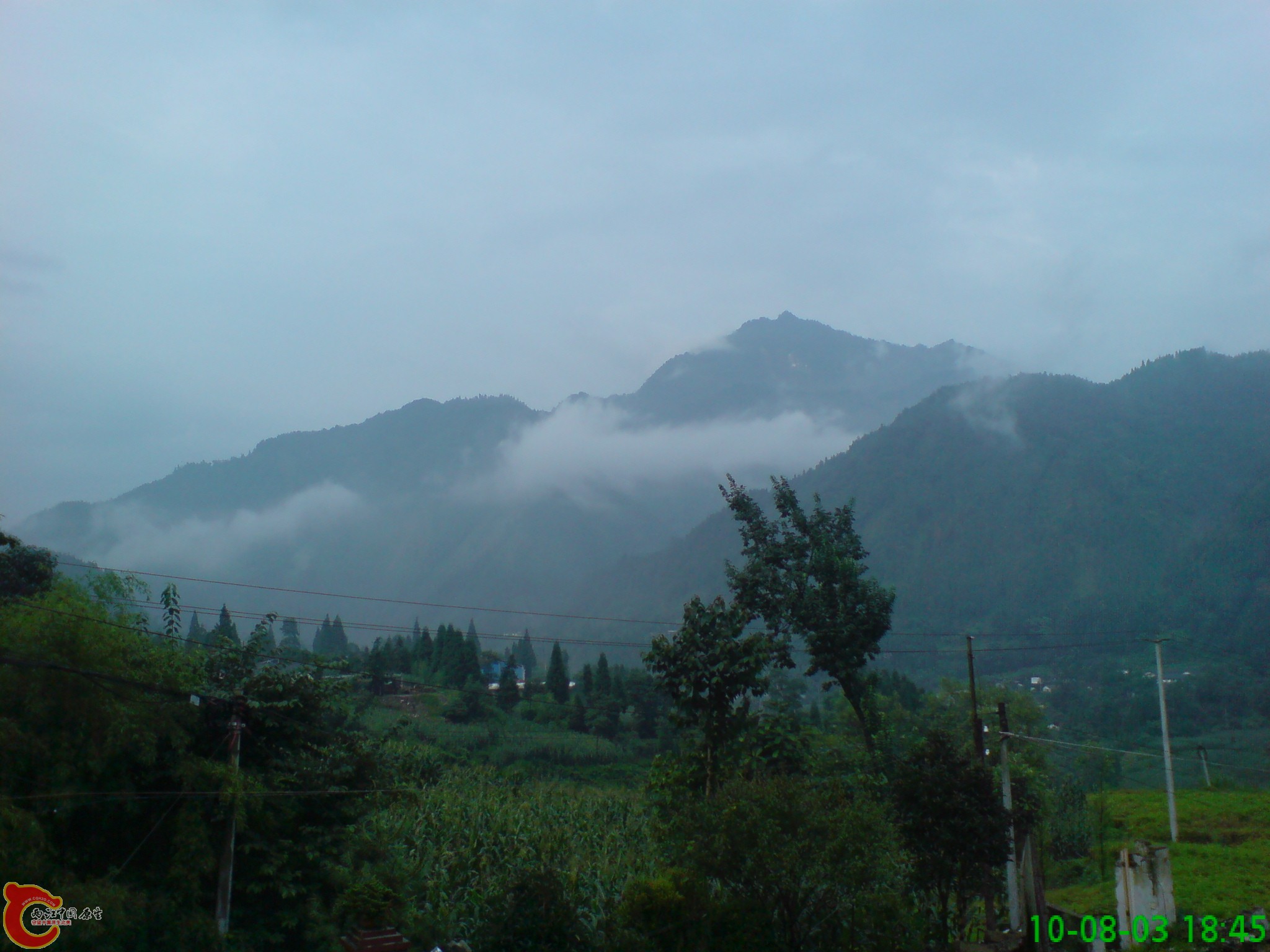 DSC01236.JPG
