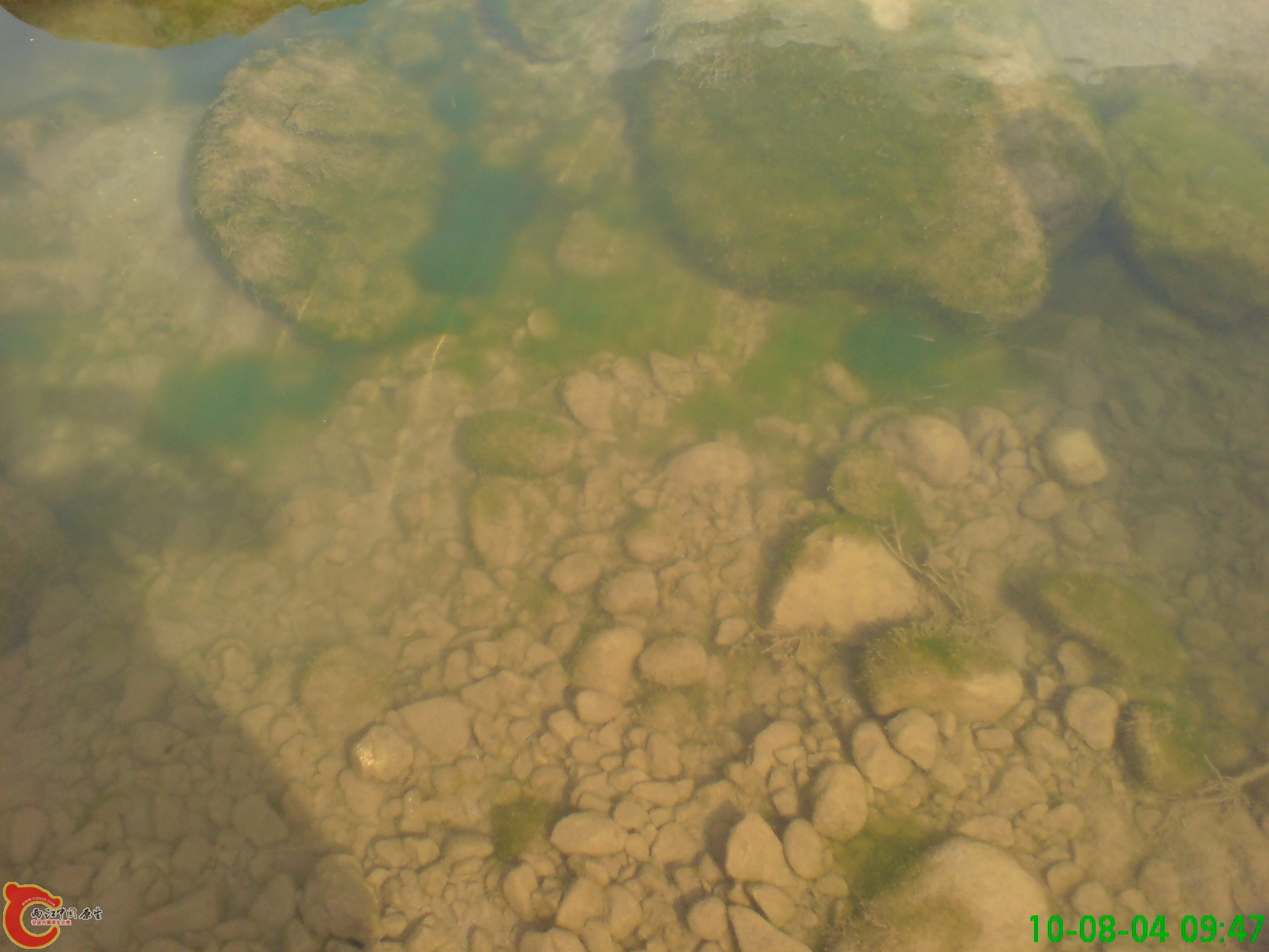 DSC01279.JPG
