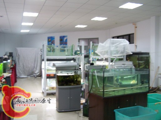 100_8593_缩小大小.JPG
