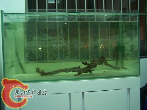 100_8507_缩小大小.JPG