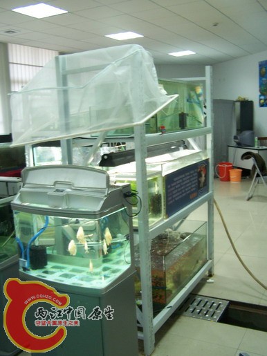 100_8605_缩小大小.JPG