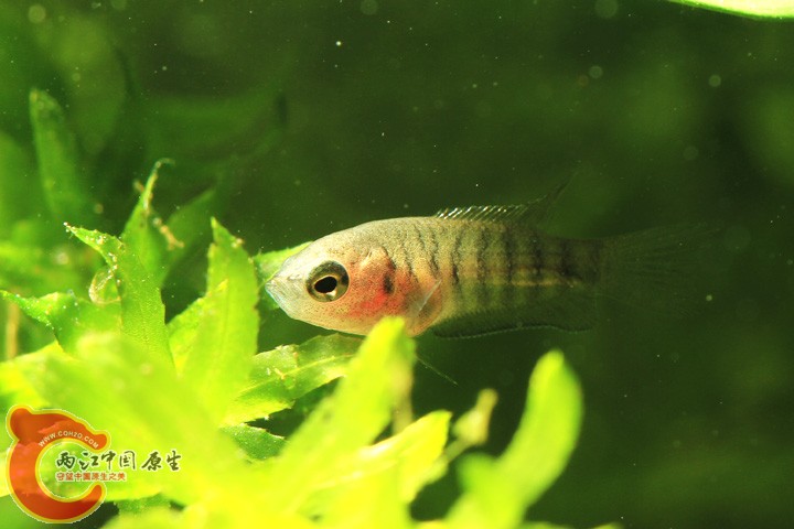 IMG_2504 副本.jpg