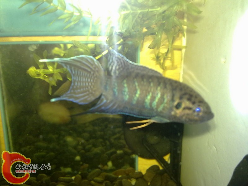 201008043424.jpg