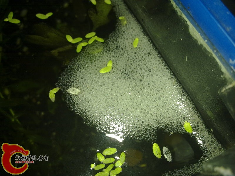 201007273362.jpg