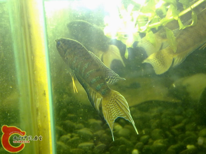 201008043428.jpg