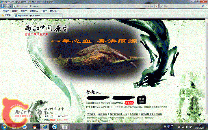 无标题.gif