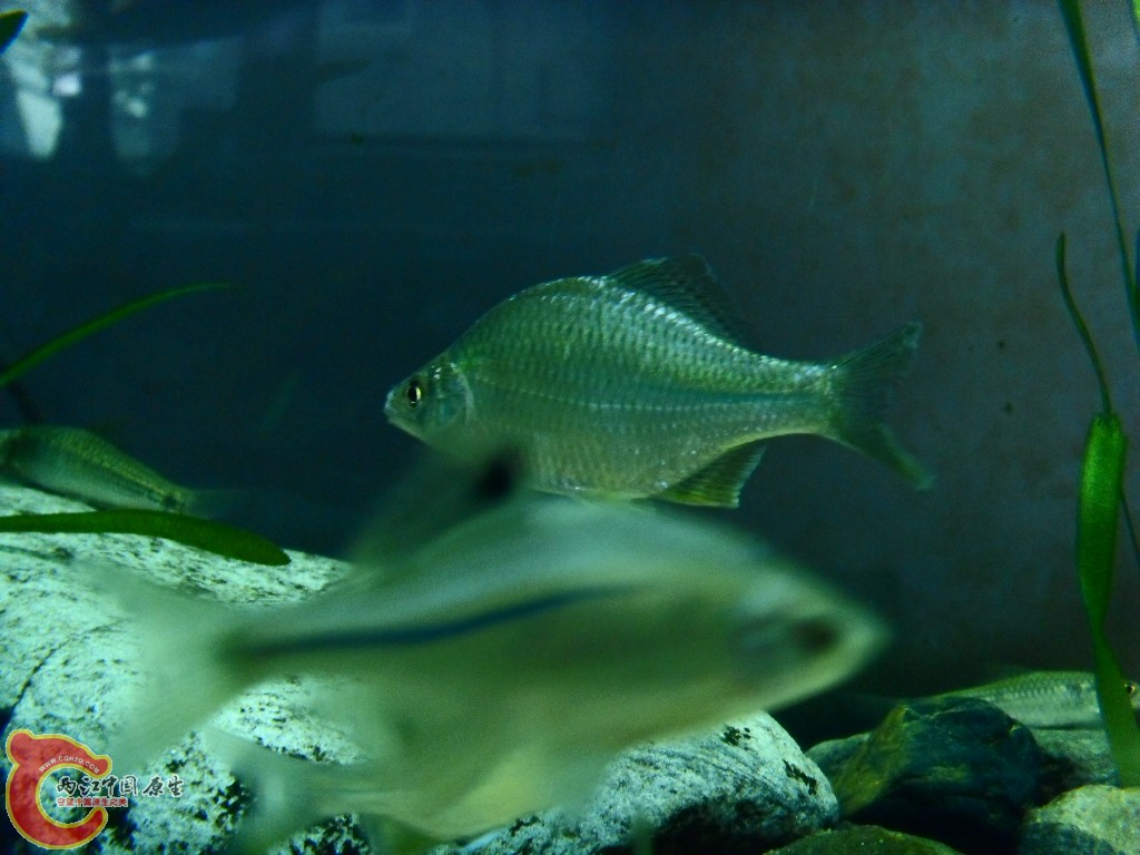 SDC14280.JPG