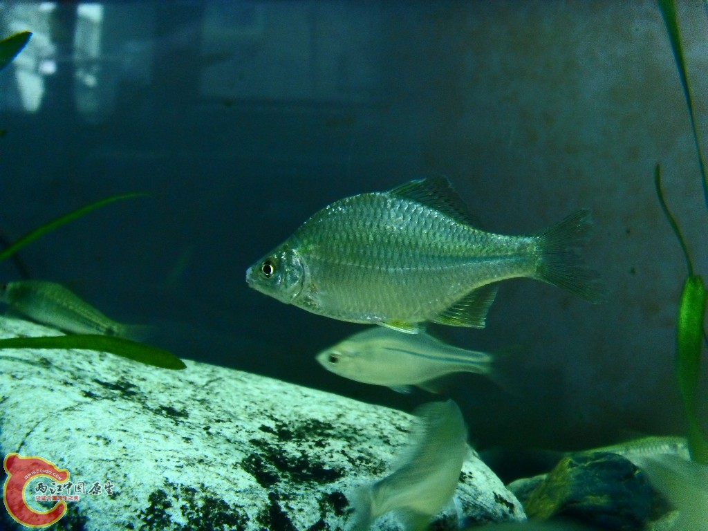 SDC14281.JPG
