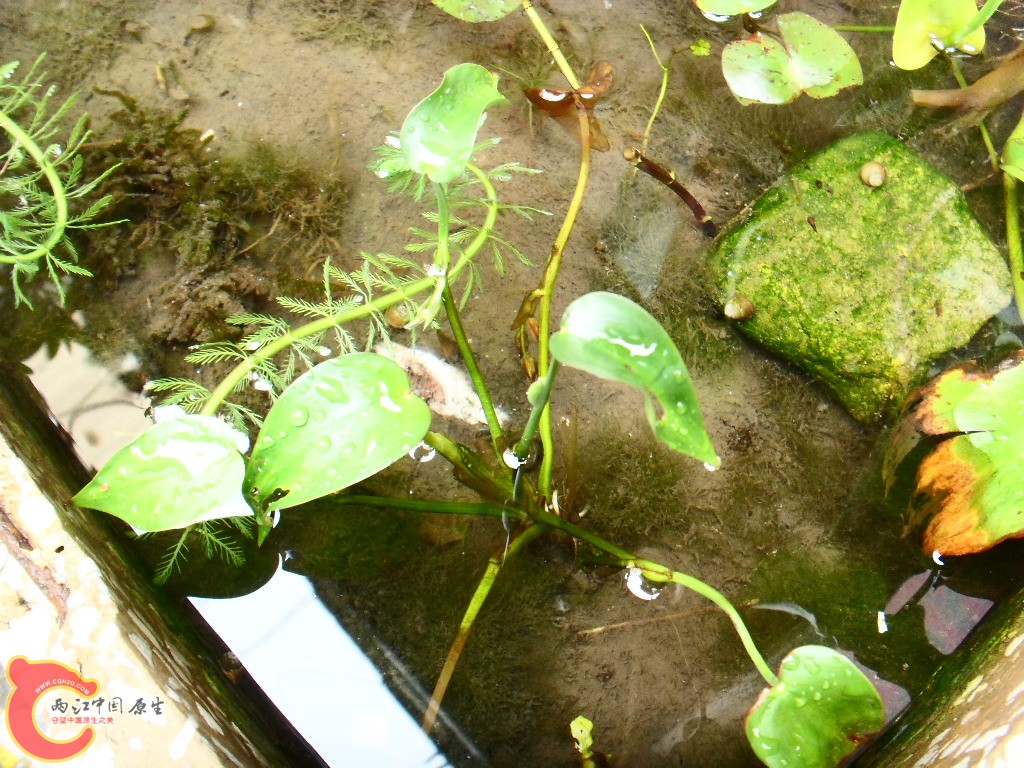 SDC14294.JPG