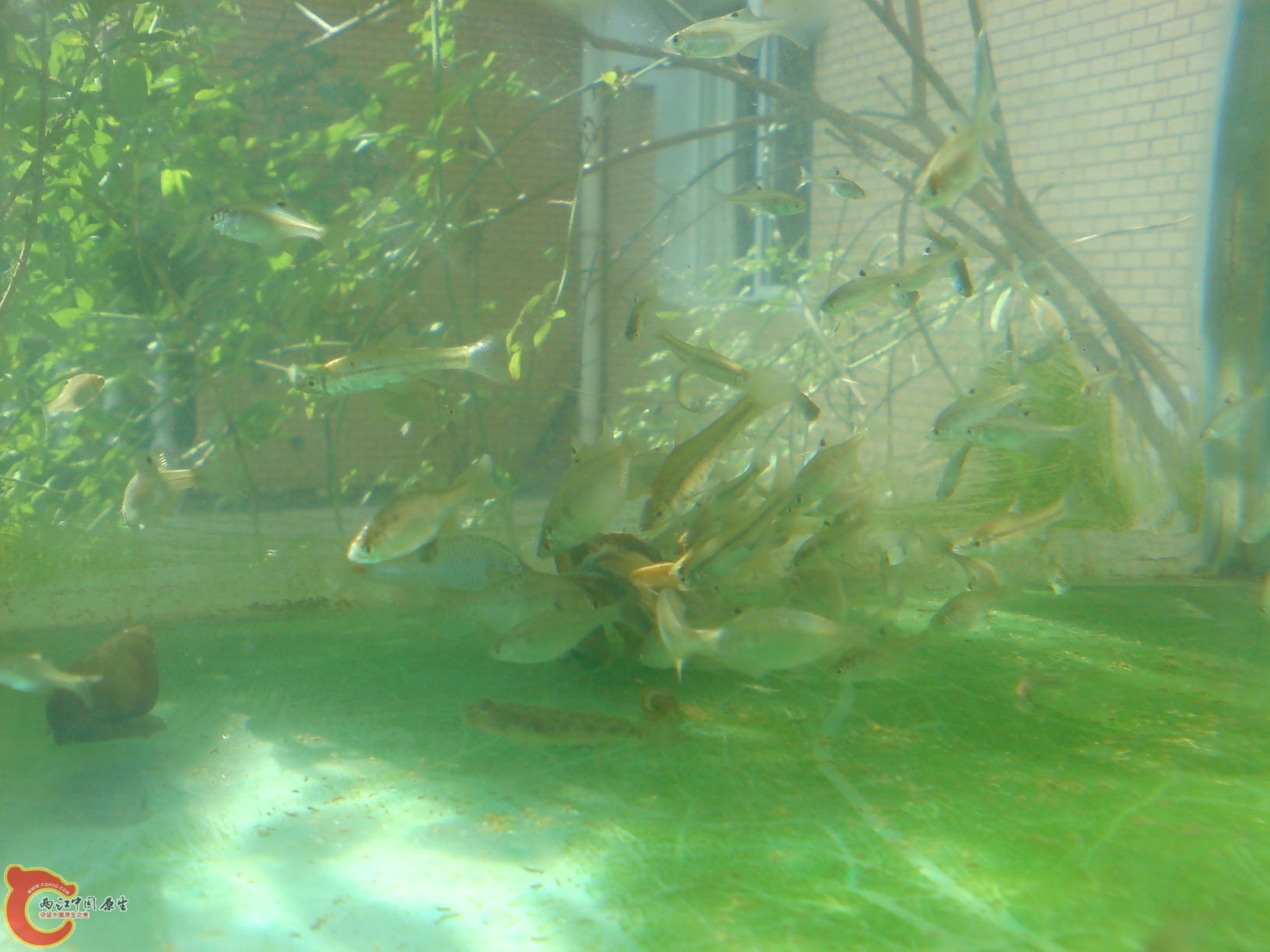 DSC00075.JPG