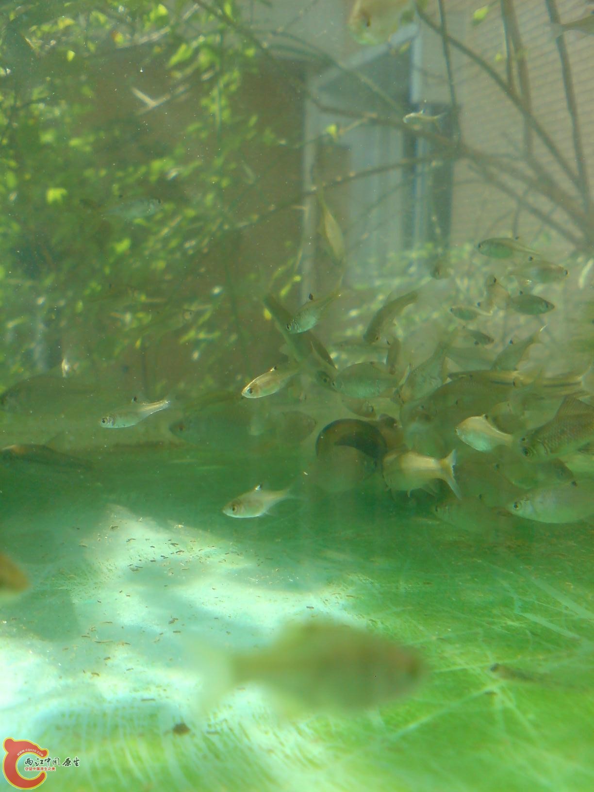 DSC00076.JPG