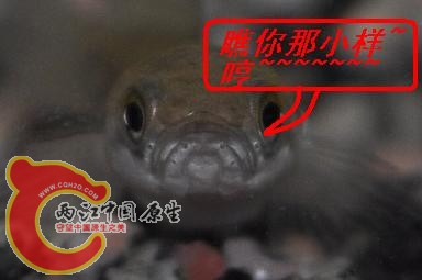 复件 (2) CSC_1770.JPG