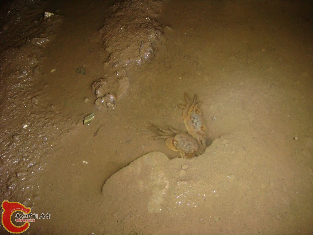 DSC02360.jpg