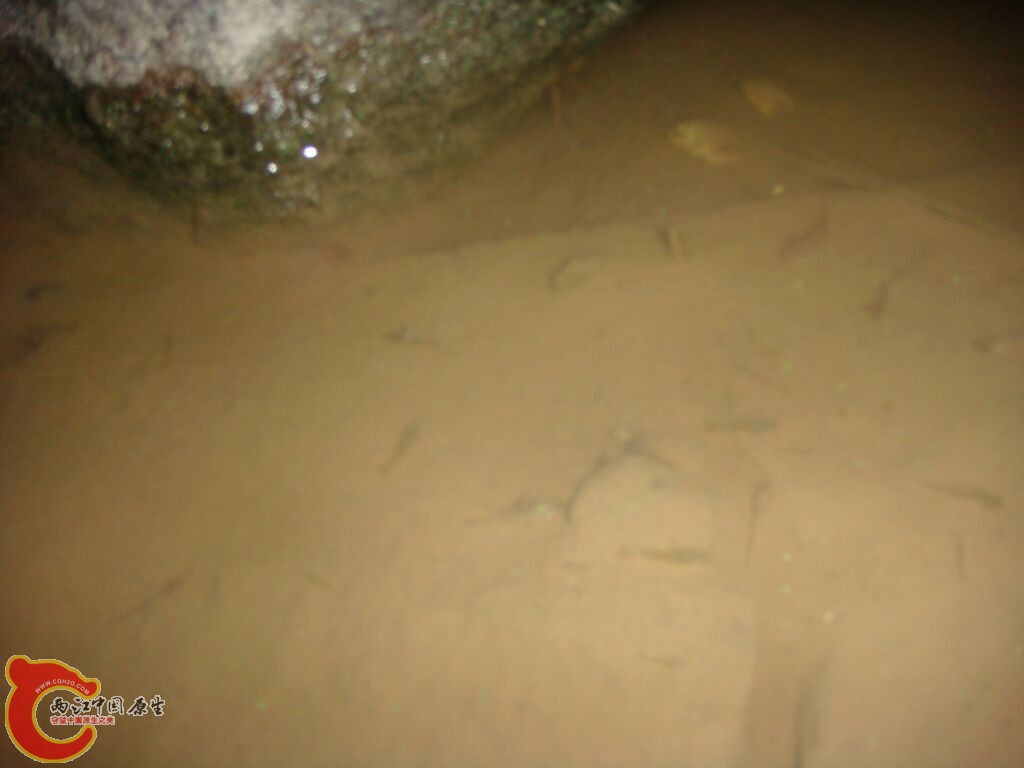 DSC02372.jpg