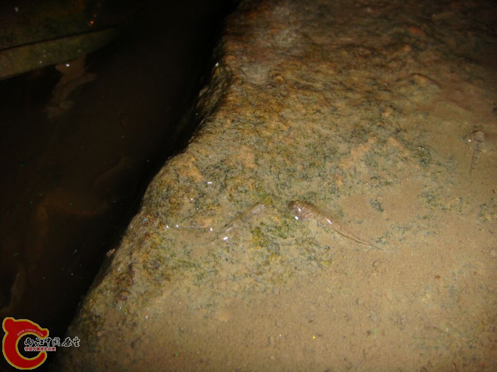 DSC02386.jpg