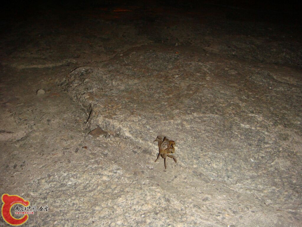 DSC02387.jpg