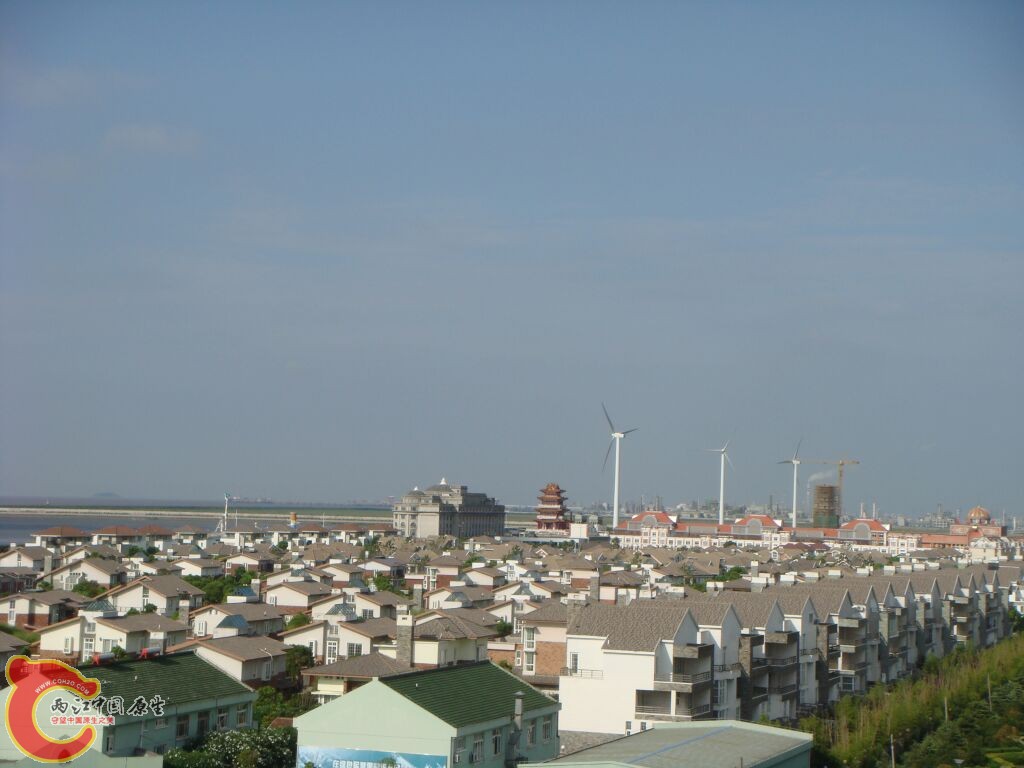 DSC02437.jpg