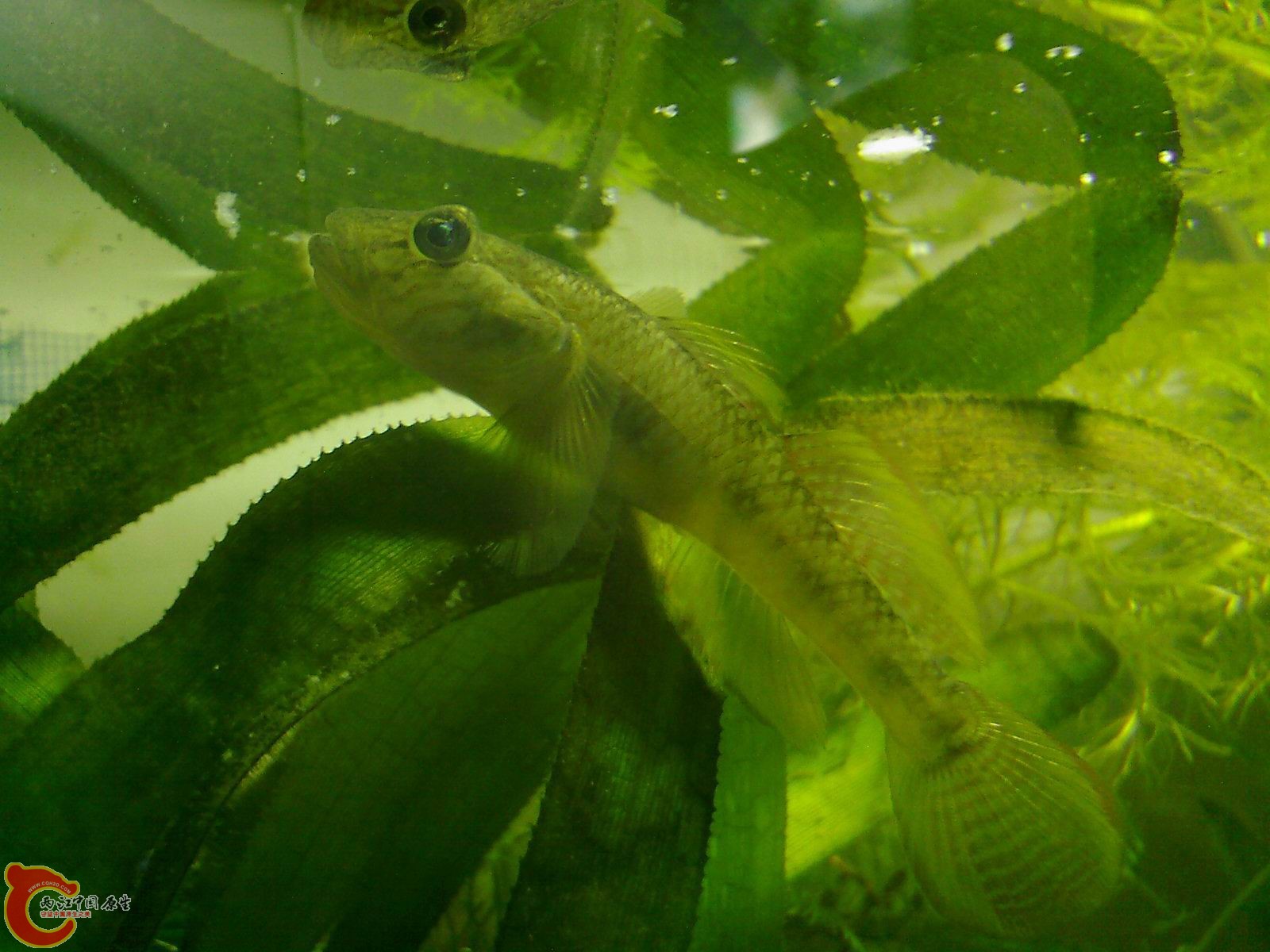 照片-01093.jpg