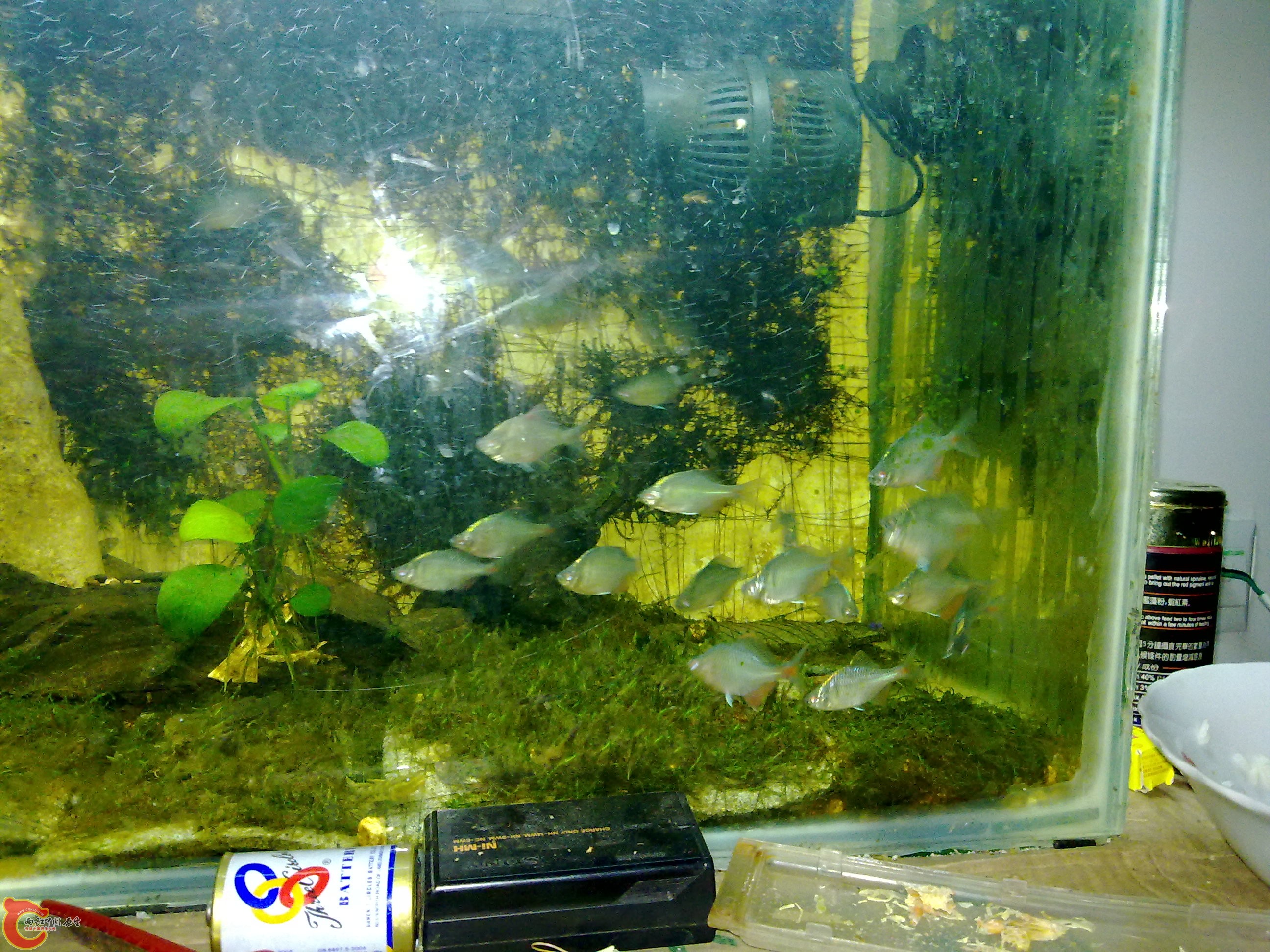 20100829064.jpg