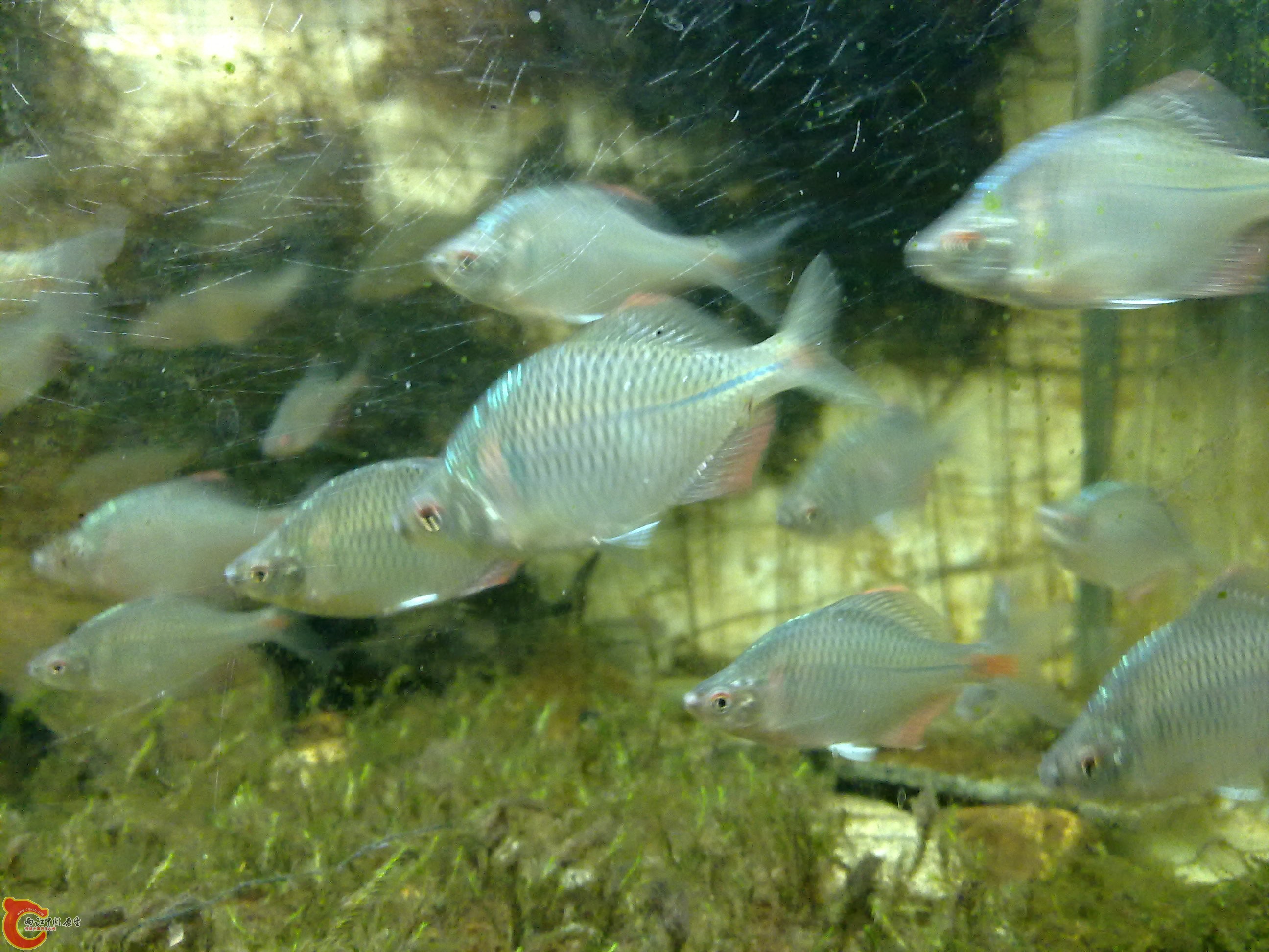 20100829074.jpg