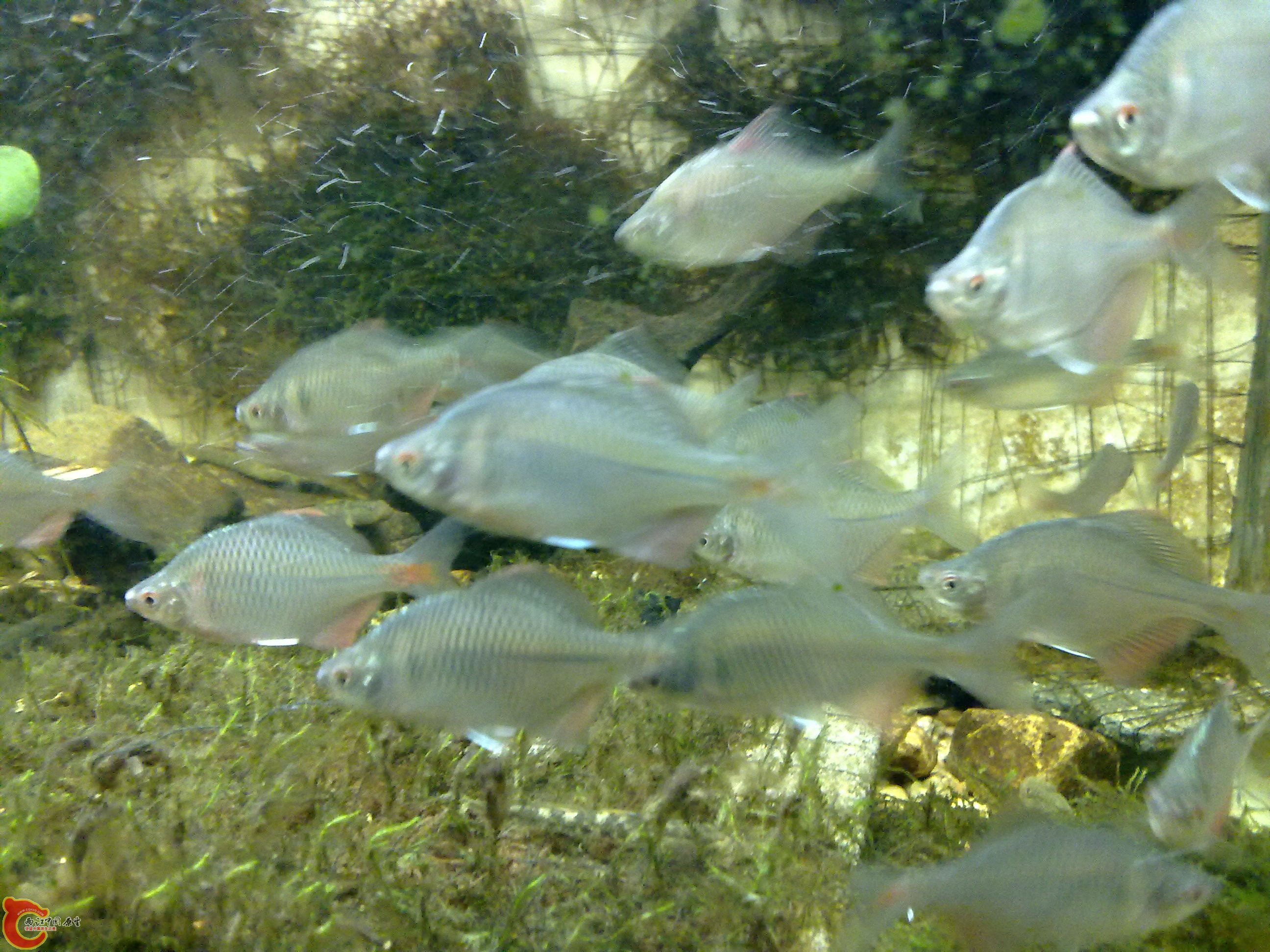 20100829076.jpg