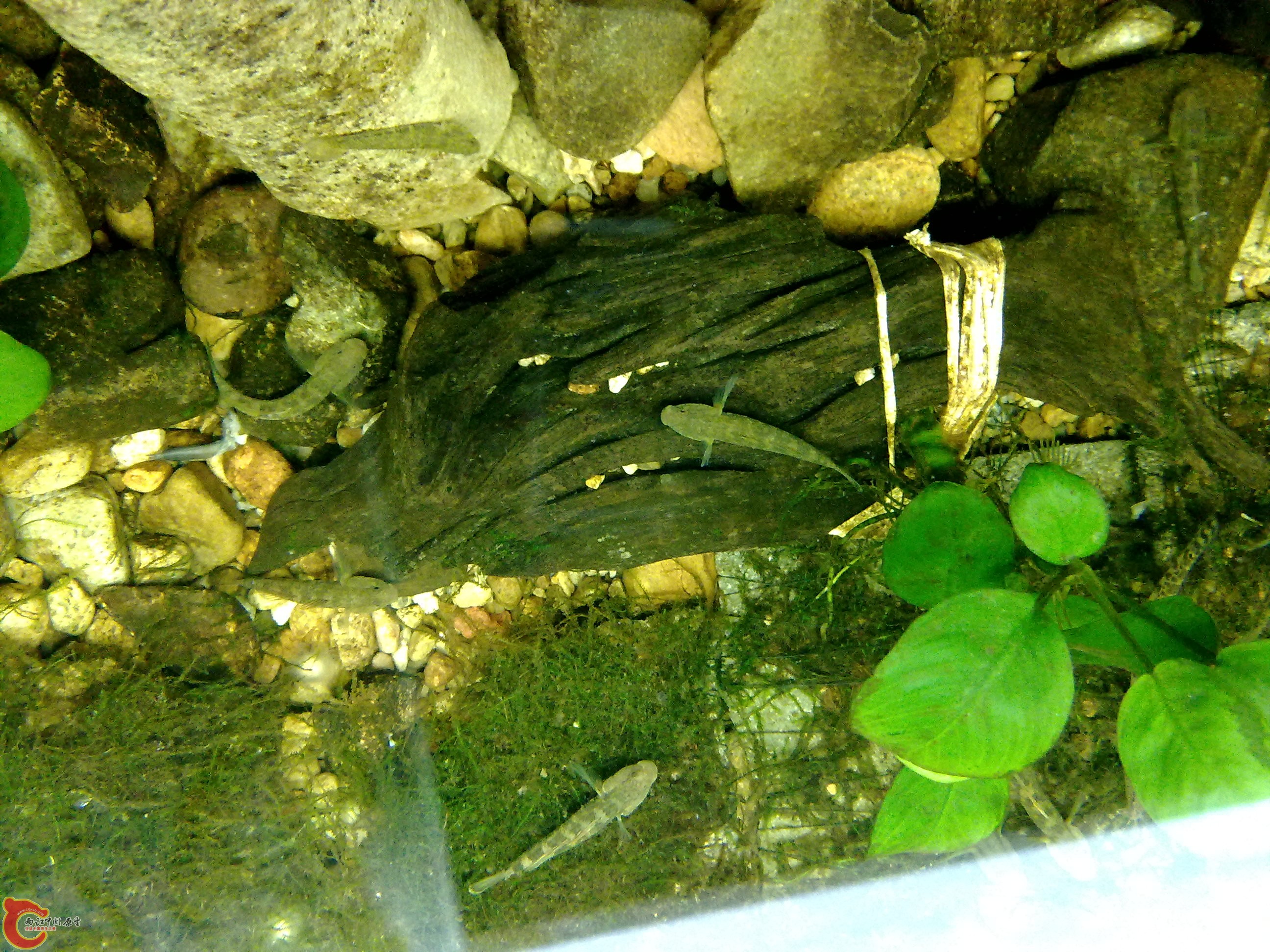 20100829084.jpg