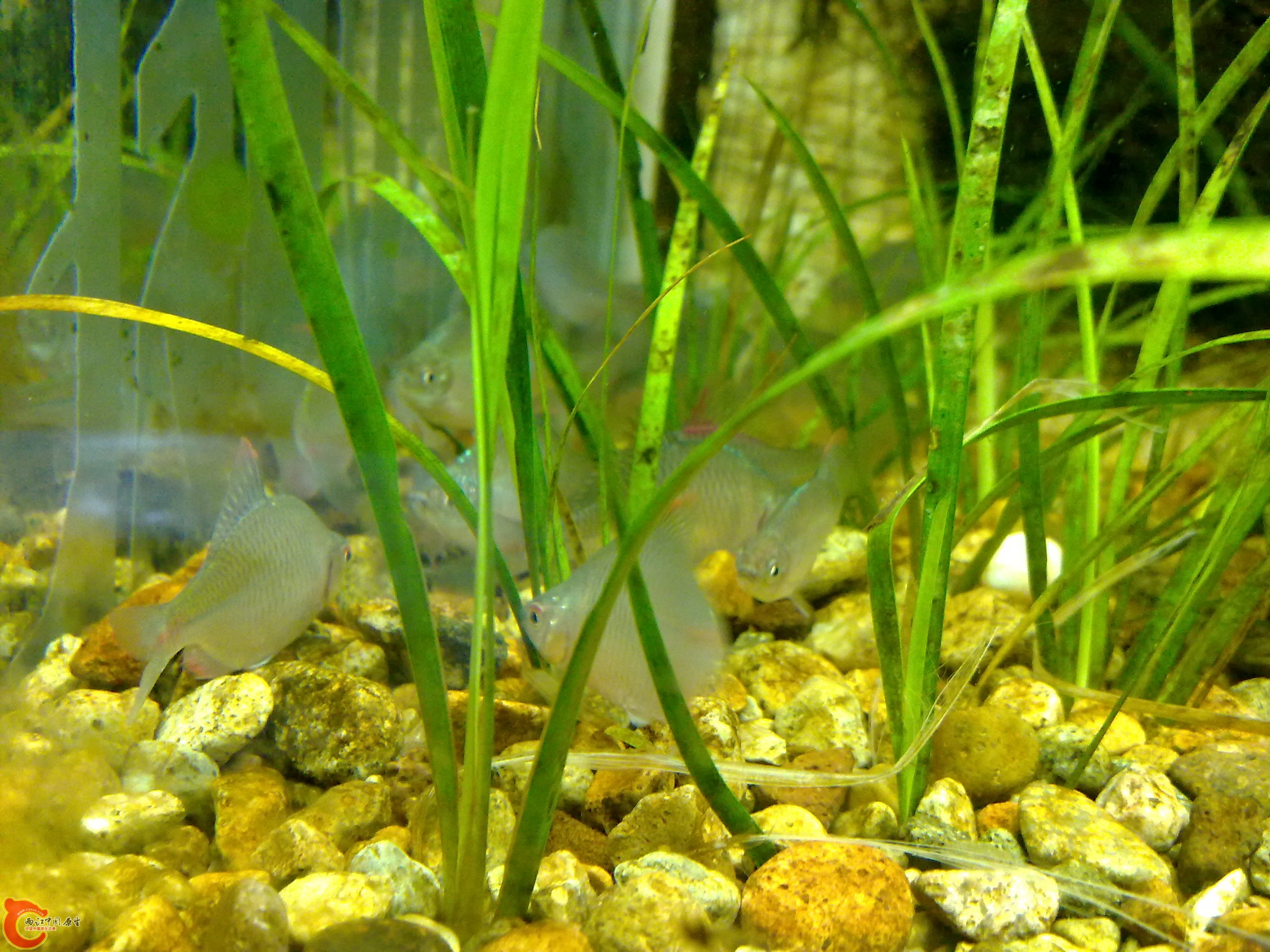 20100829098.jpg