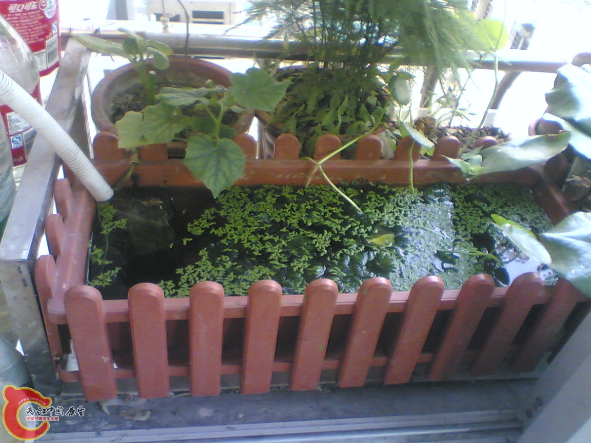 Image(905).jpg