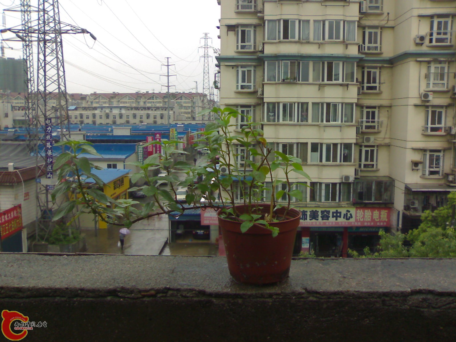 20100903598.jpg