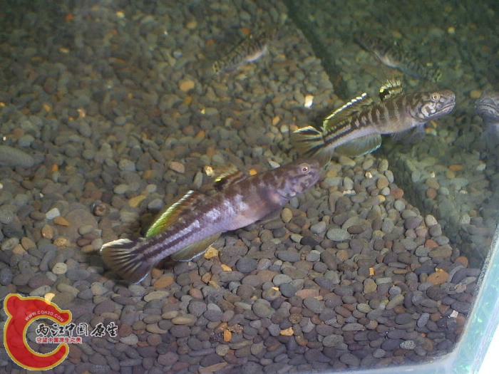 S5030123.jpg