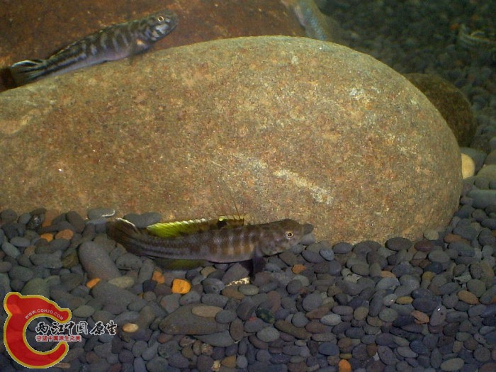 S5030140.jpg