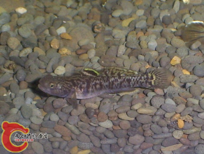 S5030143.jpg