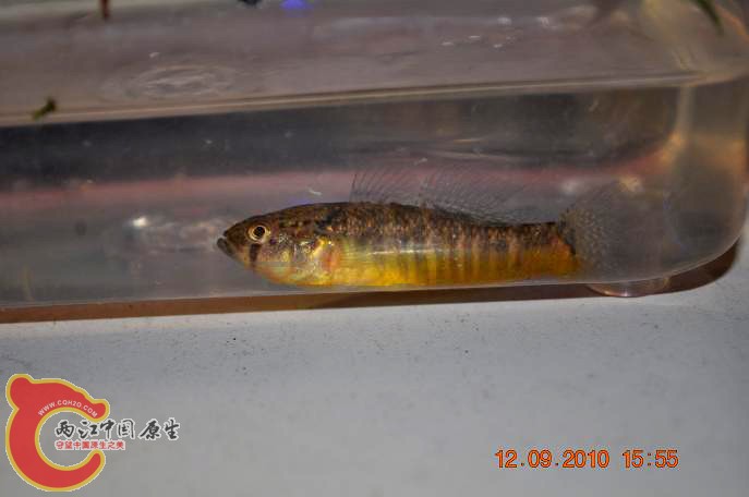 DSC_2104.JPG